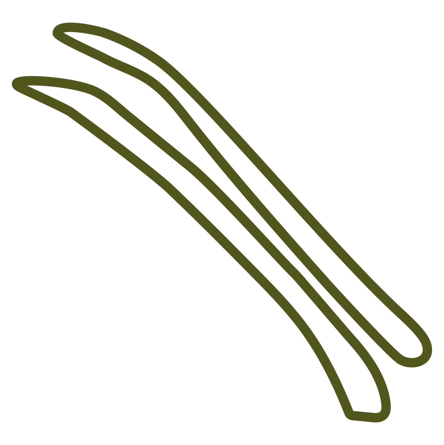 A pair of olive green green beans shown as a simple line drawing on a plain white background.