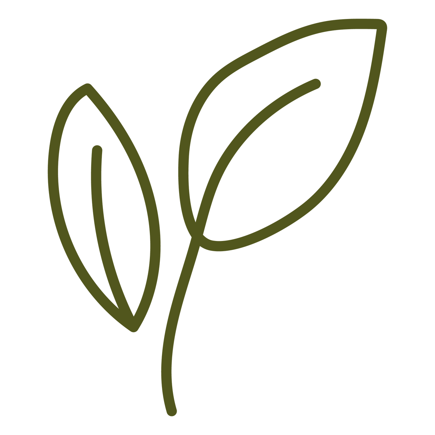 A minimalist line art icon depicting two green leaves on a stem, indicating plant-based, isolated on a solid white background.